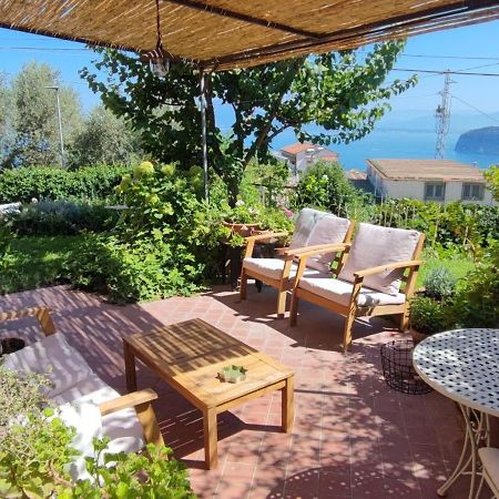 Lally'S Garden Bed & Breakfast Sorrento Dış mekan fotoğraf