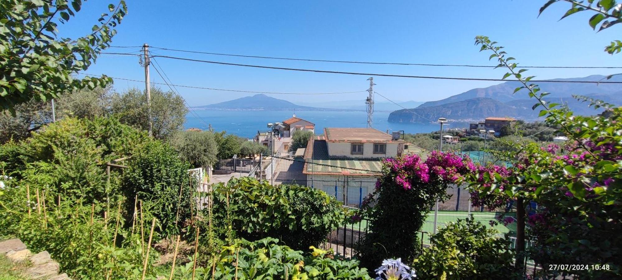 Lally'S Garden Bed & Breakfast Sorrento Dış mekan fotoğraf