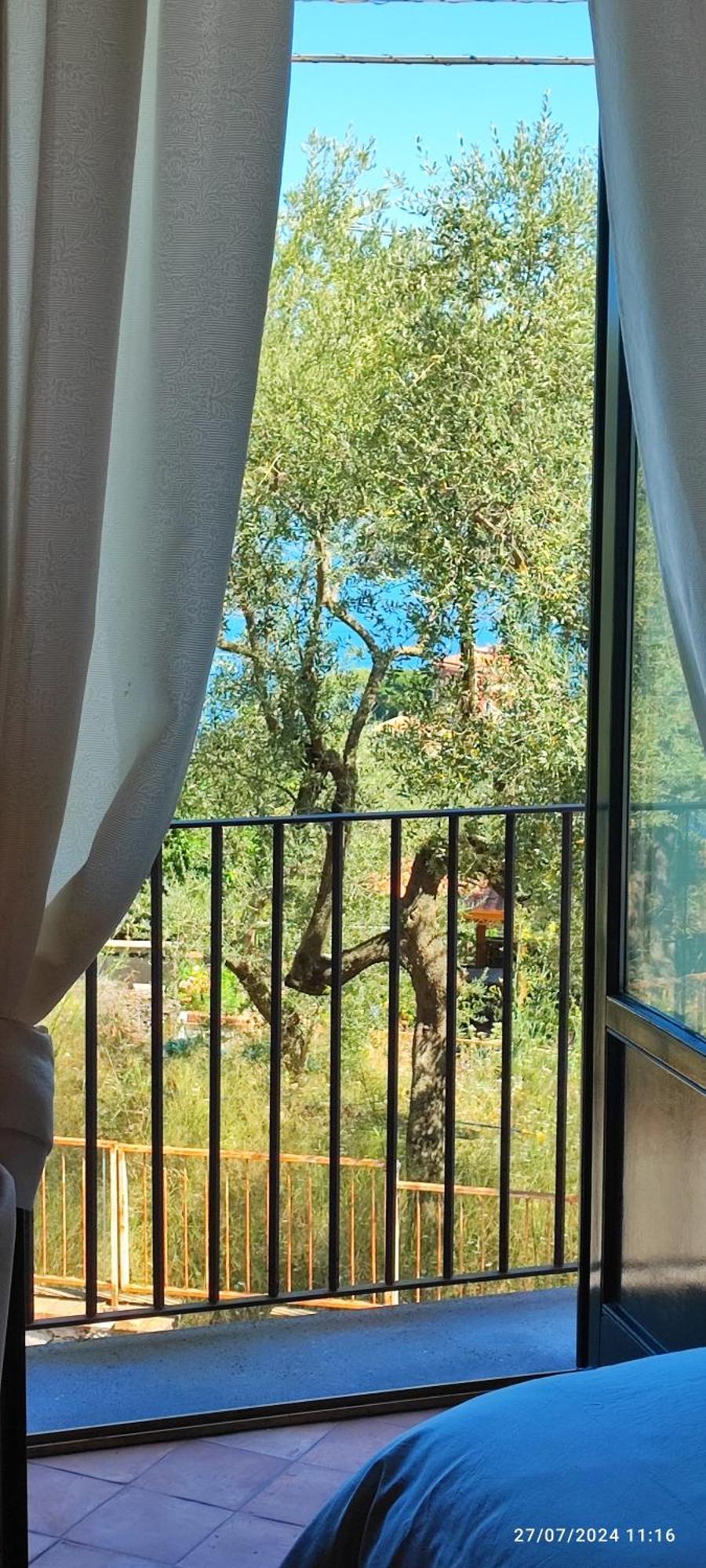Lally'S Garden Bed & Breakfast Sorrento Dış mekan fotoğraf