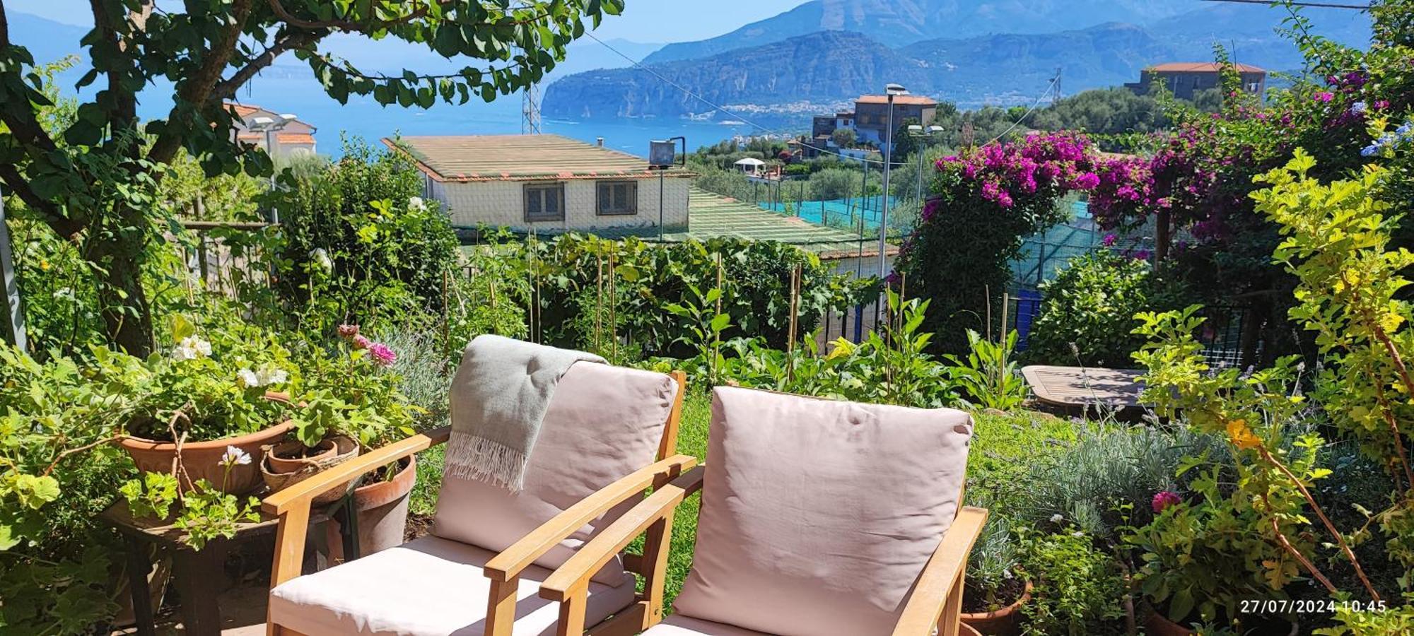Lally'S Garden Bed & Breakfast Sorrento Dış mekan fotoğraf
